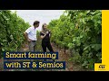 Our technology starts with you a vineyard visit with semios to check out their smart farm solution