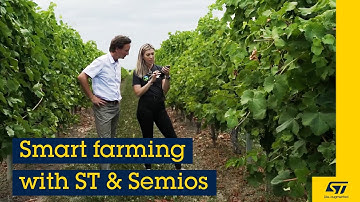 Our technology starts with You: a vineyard visit with Semios to check out their smart farm solution