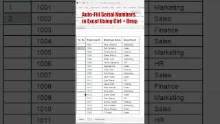 Auto Fill Serial Numbers in Excel Using Ctrl + Drag #exceltips #exceltutorial #exceltricks