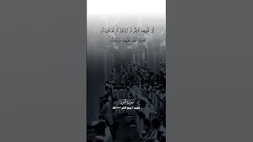 #سورة_النور #عبدالله_القرافي #المسجد_النبوي #المصحف #اكسبلور
