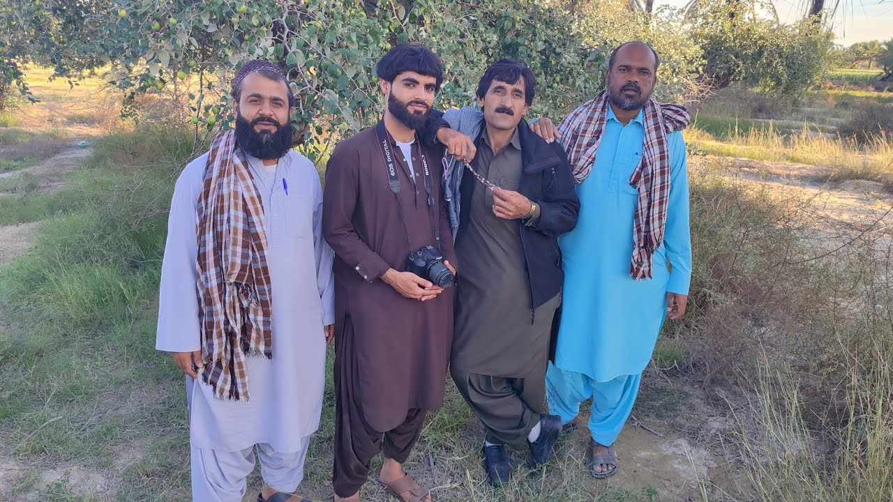 بلوچی تامر دُزّ