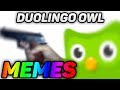 Duolingo Owl MEMES (2019)