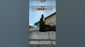 Best Molly Lineup #shorts #csgo #csgoclips #csgofunny #csgomemes #fyp #fypシ