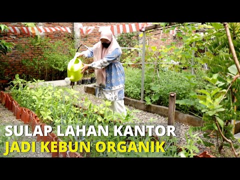 Berkebun di Kantor