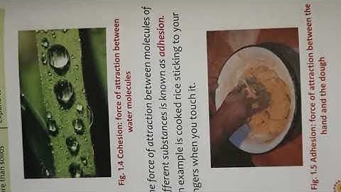 Physics Class 8 ICSE Chapter 1- Matter.