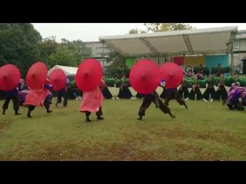 静大祭2013　お茶の子祭々　時ノ宴
