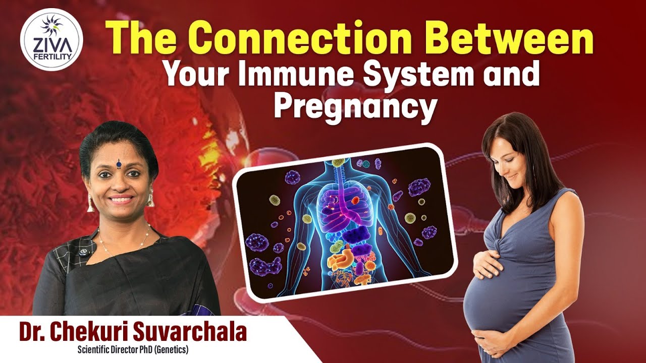 Connection Between Immune System and Pregnancy | Fertility Awareness | Dr C Suvarchala