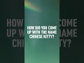 Meet #ChineseKitty, The Girl’s Girl Who’s Mysterious & Independent! #Shorts #TheImpactNY #TheImpact