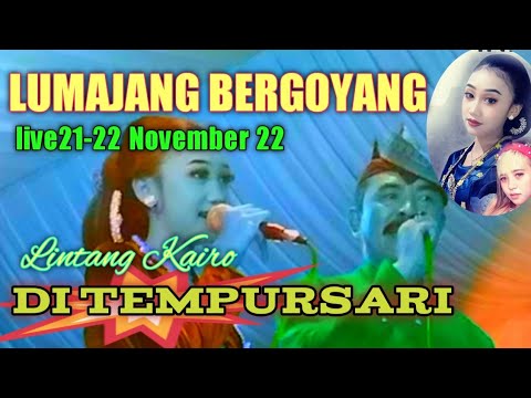 Live Lumajang tgl 21-22 November 22