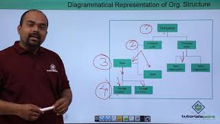 SAP PP - Organization Structure