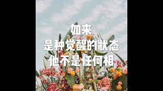 201704 如来是种觉醒的状态 它不是任何相22555