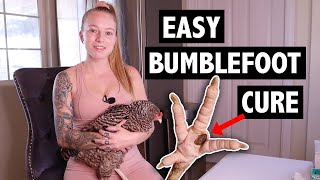 BUMBLEFOOT in CHICKENS - Easy Removal Using PRID Drawing Salve