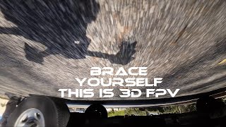 Adventure into a new world 3D FPV - First 10 sessions