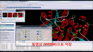 Discovery Studio Storyboard & DS Active X Control