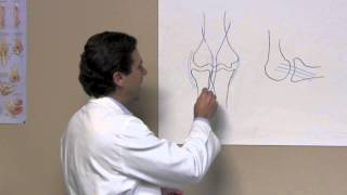 Elbow Distal Biceps Rupture - Sports Doctor Houston Sugar Land Tx - Dr J Michael Bennett