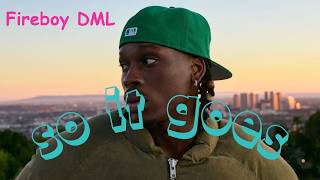 Fireboy-DML-So It Goes(Official lyrics video)
