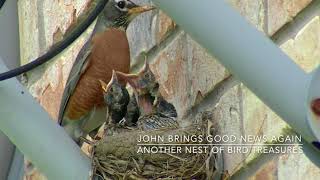 In the second good news, John's courtyard has 4 more treasures