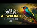 Most Heart Touching Surah Waqiah Beautiful Quran Recitation Meet The Quran 