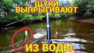 ЩУКИ ВЫПРЫГИВАЮТ ИЗ ВОДЫ/МОЩНЫЕ АТАКИ ЩУК/РЫБАЛКА В ГРОЗУ