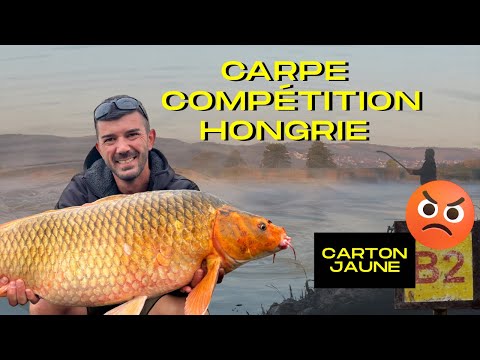 Compétition sous HAUTE TENSION en Hongrie ! Je me retiens de RENTRER ! @proelitebaitsfrance4227 