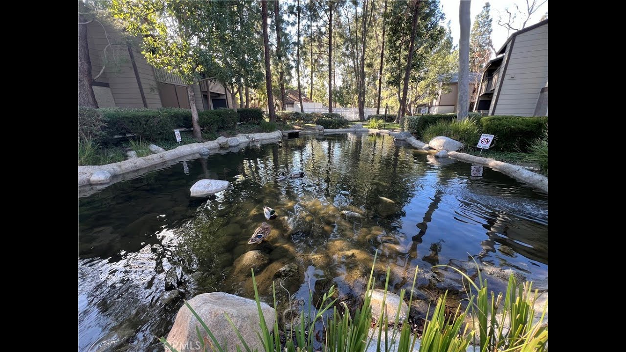 Real Estate for Rent 20702 El Toro Road 407 Lake Forest CA 92630