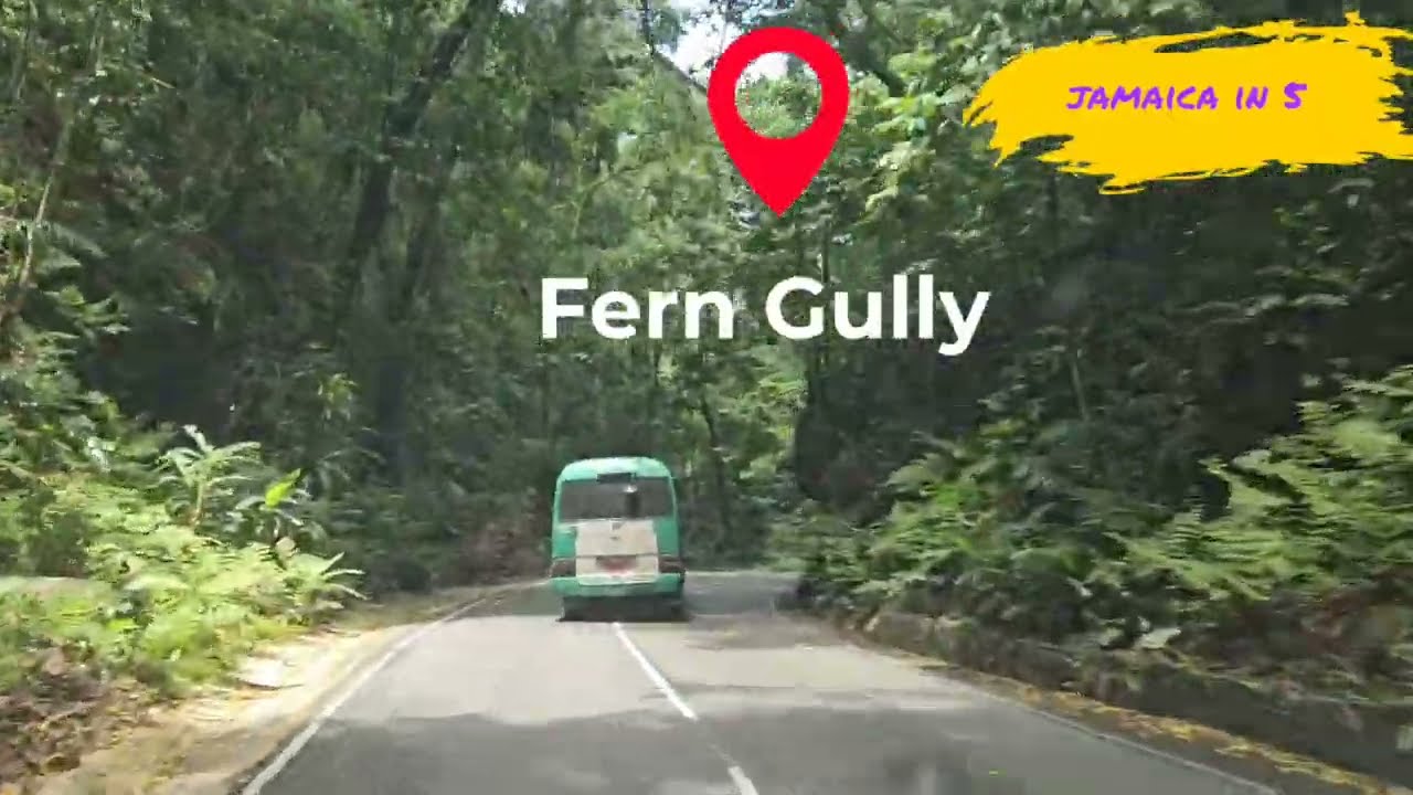 Fern Gully Jamaica
