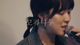 요조 (Yozoh) - 모과나무 (단독공연 ‘작은 사람 : Weak People’ Live)