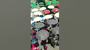 احتفال بنتائج التوجيهي في غزة من امام معرض حلويات قصر الندي2021 