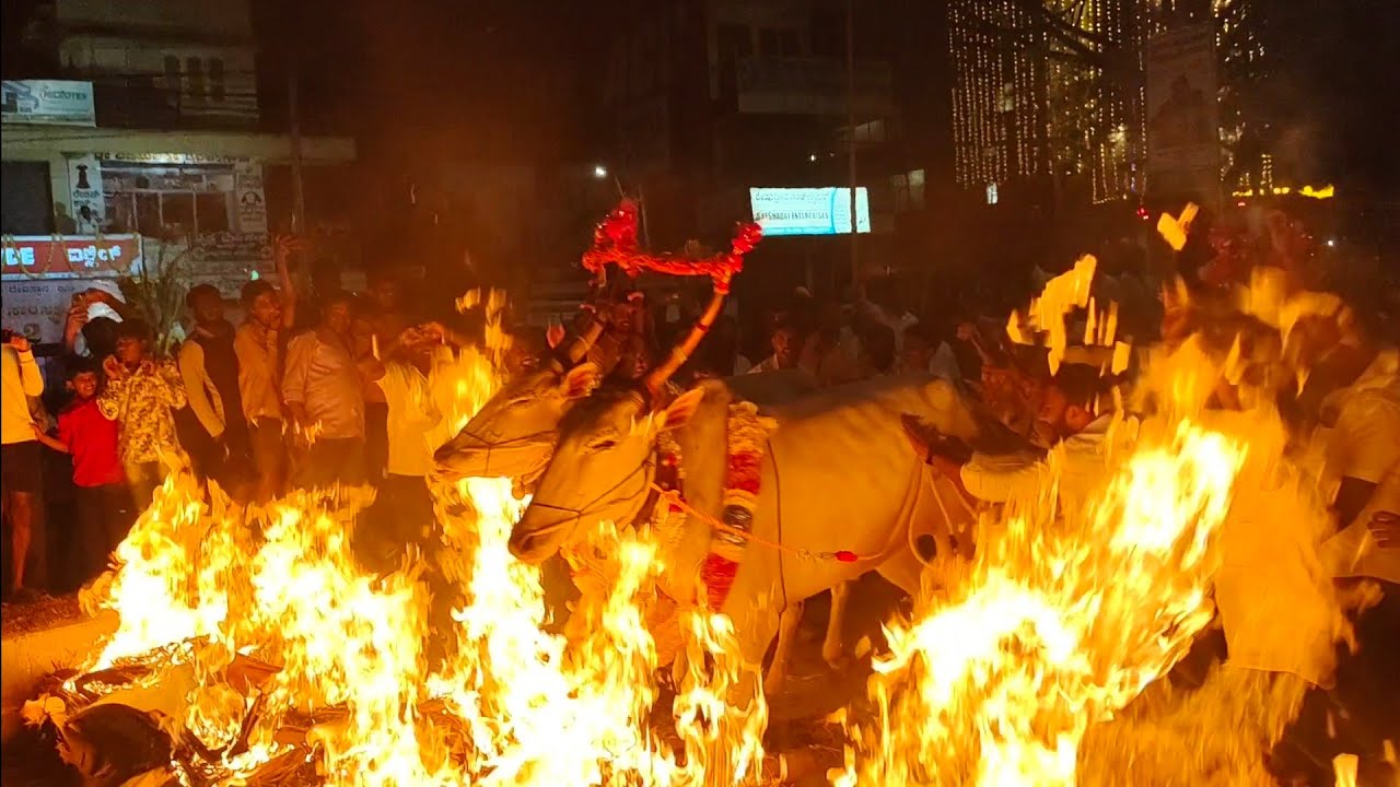 ಕೃಷ್ಣ ದೇವಾಲಯದಲ್ಲಿ  ಸಂಕ್ರಾಂತಿಯ ಪುನರ್ ಸೃಷ್ಟಿ