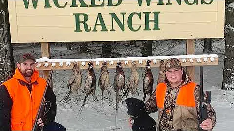 8 Month Old Black Lab's First Pheasant Hunt