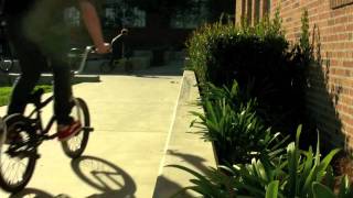 ledge sesh