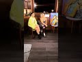 Fanny Lu & Farina promocionado #TeQuedasteSolo en Miami | 19/06/2019