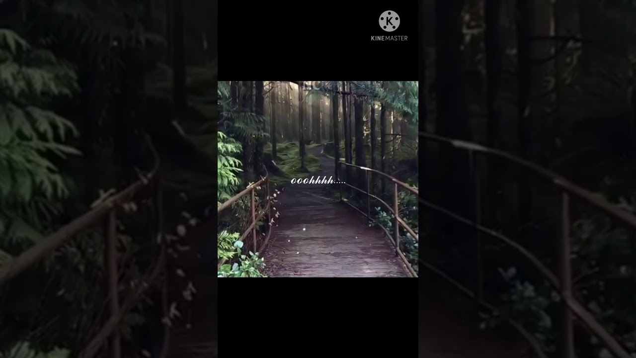 Nga thrang da shisha. (lyric video)