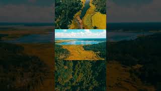 Lake Jackson | Okeeheepkee Park | Tallahassee Florida #shorts #dji #djimini3pro #drone