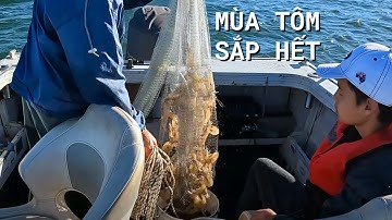 Cháu ngoại đi trải nghiệm chài tôm | #96 | Đức Ở Úc Câu Cá