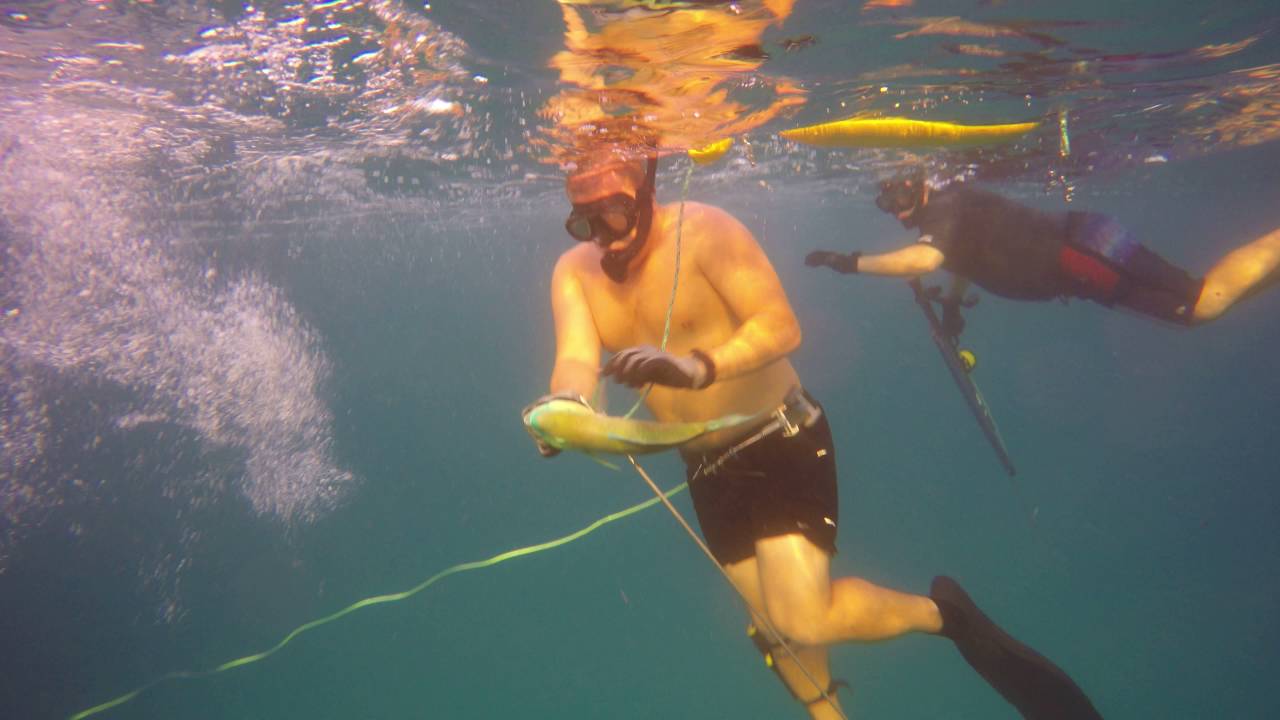 OAHU, HAWAII SpearFishing Electric Beach Pipes Sep 2015 YouTube