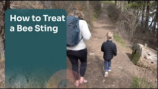 How to Treat a Bee Sting | First Aid & When to Seek Medical Care