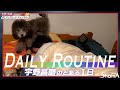 デイリールーティーン・宇野昌磨 / Daily Routine・Shoma Uno