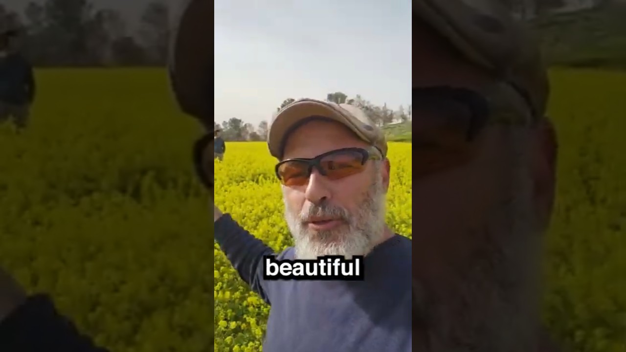 Settling The Land Is The Commandment Of Our Time!