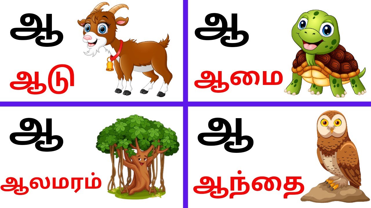 How to learn tamil letters | ஆ வரிசை சொற்கள் | தமிழ் அகராதி ஆ.ஆடு, ஆமை ...