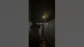 اكتب شيء تؤجر عليه إن الله غفور رحيم #القرآن الكريم #quran #ماهر المعيقلي #قرآن #راحة_نفسية