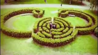 MICE MAZE screenshot 5