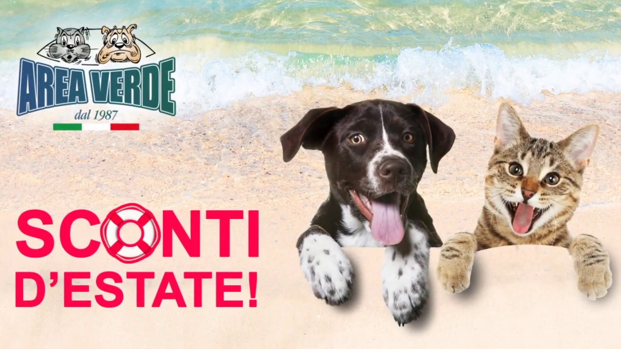 Scontissimi d'estate (2019) presso AreaVerde di Palazzolo-Chiari (BS)