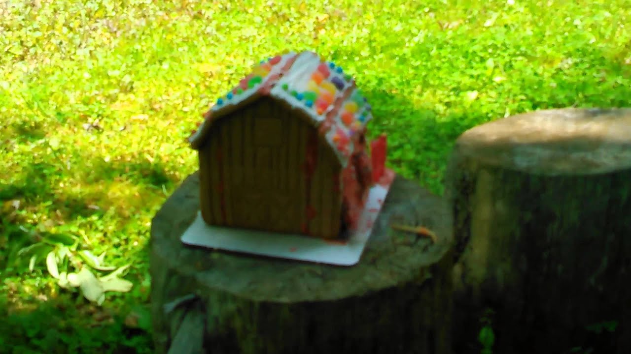 Firework blows up gingerbread house