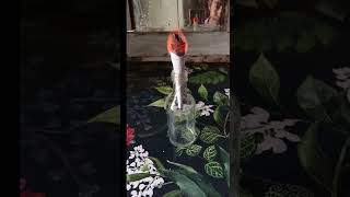 Aman inventor #viralvideo #experiment #viralvideo