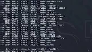 Dirb #Dirb #cybersecurity #ethicalhacking #websecurity #kalilinux #infosec