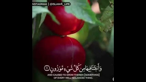 آيات تدل على عظمة الله سبحانه