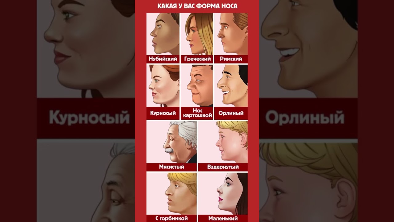 Какая форма носа нравится вам?