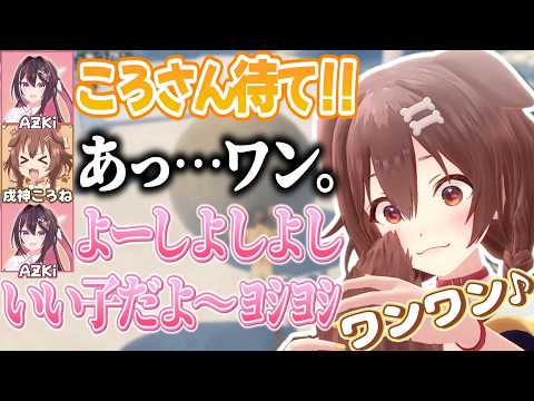 あずちゃんにしつけられると犬の部分が色濃く出てしまうころさん【戌神ころね/AZKi/ホロライブ切り抜き】