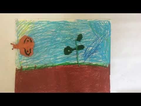 Our School Butterfly Garden - The Grove Community School